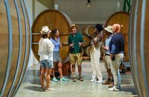 Constantia Wine Walk Storytelling Vineyard Tour with Lunch