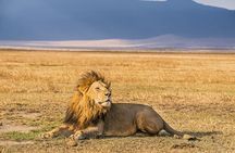 A Private Day Trip to Ngorongoro Crater