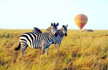 3 Days Private Tour in Maasai Mara With 4*4 Vehicle
