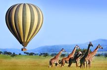 3 Days Private Tour in Maasai Mara With 4*4 Vehicle