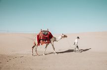 Quad Bike Tour in Jeddah