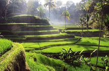 Private Guided Tour in Ubud