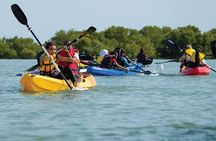 4 Hours Purple Island Mangroves Kayaking Adventure in Qatar
