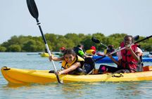 4 Hours Purple Island Mangroves Kayaking Adventure in Qatar