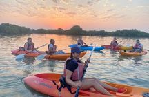 4 Hours Purple Island Mangroves Kayaking Adventure in Qatar