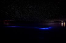 Luminous Lagoon Guided Tour In Montego Bay 