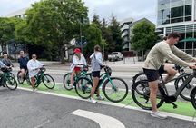 Private Santa Monica and Venice Beach Bike Tour