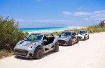 Private Buggy Tour and Punta Sur Park in Cozumel