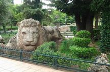 Middle Atlas Mountains, Cedar Forest and Azrou Day Trip from Fez