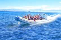 Puerto Vallarta Best Zipline Canopy + Tequila and Speed Boat Ride