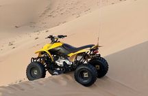 Abu Dhabi: 4-Hour Morning Safari with Camel Ride & Sand boarding