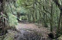  Poas Volcano National Park Tour and Bird watching in Costa Rica