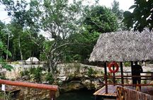 Adventure Experience in Three Cenotes and Tequila Tasting