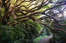 6 Hours Sightseeing Tour in Auckland