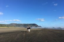6 Hours Sightseeing Tour in Auckland