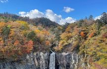 Nikko Private Day Tour by certified Guide and vehicle(from Tokyo)