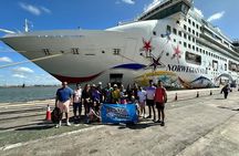 Best Montevideo Experience for Cruisers‐ Small Shared Group 
