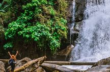 Day Tour in Doi Inthanon National Park & 2 Hour-Hiking with Lunch