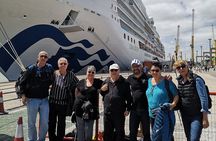 Discover Montevideo: Fun Small Group Tour for Cruise Travelers