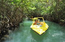 SpeedBoat Jungle Tour + Snorkel Experience in Cancun