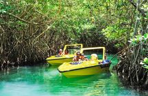 SpeedBoat Jungle Tour + Snorkel Experience in Cancun