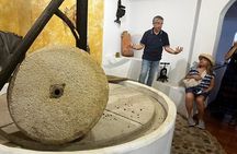 Olive Oil Factory from Seville Private Tour
