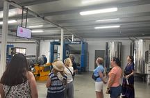 Olive Oil Factory from Seville Private Tour