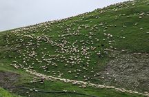 Private Full-Day Tour to Kazbegi and Gudauri from Tbilisi