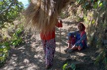 Kunjapuri Yoga Day Hike