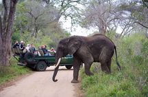3-Days Ultra Luxury Safari at Kapama River Lodge