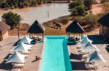 3-Days Ultra Luxury Safari at Kapama River Lodge