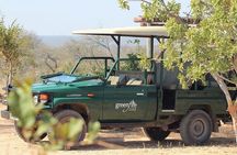 4 Day Greenfire Game Lodge Safari