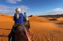 Two Days Private Tour from Fez to the Sahara