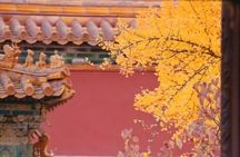 Explore Beijing with camera--City Walk tour with Professional photography guide