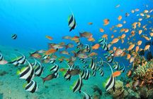 Hurghada Water Sports Adventure at Orange Bay Island