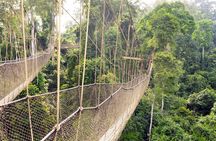 Day Tour to Kakum National Park, Cape Coast and Elmina Castles