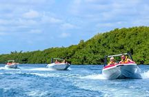SpeedBoat Jungle Tour + Snorkel Experience in Cancun