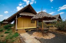 7 Days Into the Wild Wonder : Lodge Safari with Private 4x4 JEEP