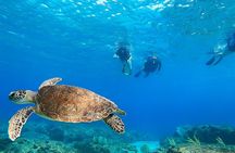 Snorkeling Aguadilla for Families with Children