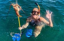 San Pedro and Caye Caulker Hop-On Hop-off Private Tour