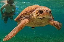 3-Hour Guided Jet Ski Snorkeling Tour on San Pedro Barrier Reef