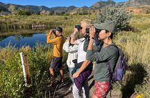 2 Hours of Mindful Bird Watching near Denver