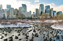Guided Cultural and Nature Walking Tour Downtown Calgary