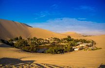 Day Trip PRIVATE Tour Paracas, Ica and Huacachina from Lima 