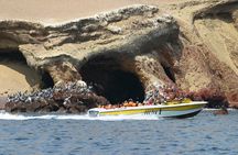 Day Trip PRIVATE Tour Paracas, Ica and Huacachina from Lima 