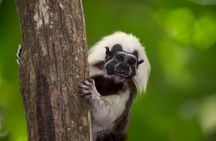 UTV Safari: Explore Wildlife And Mountains in a Nature Reserve
