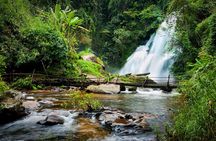 Day Tour in Doi Inthanon National Park & 2 Hour-Hiking with Lunch