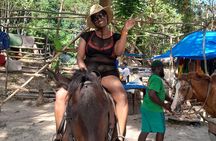 Dunns River Falls and Horseback Riding Tour from Montego Bay