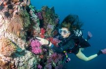 Scuba Diving Daytrip to Racha Yai