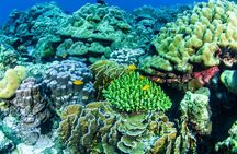 Scuba Diving Daytrip to Racha Yai